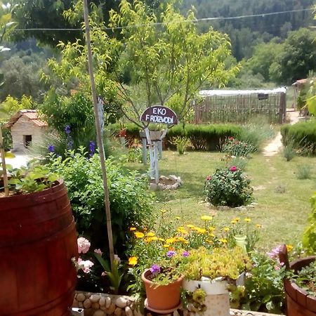 Apartman Rosa Appartement Skradin Buitenkant foto