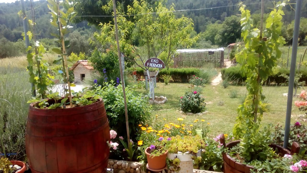 Apartman Rosa Appartement Skradin Buitenkant foto